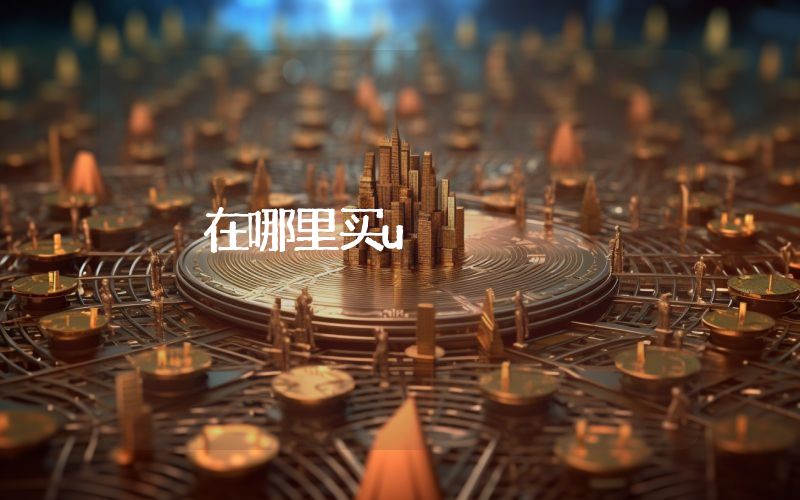 在哪里买u