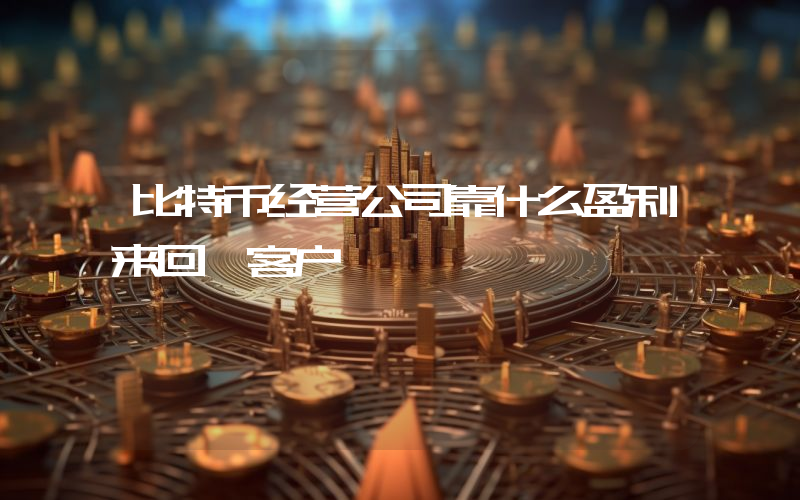 比特币经营公司靠什么盈利来回馈客户