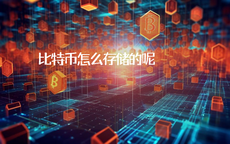 比特币怎么存储的呢