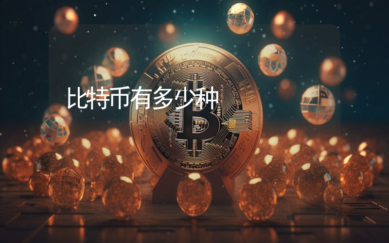比特币有多少种