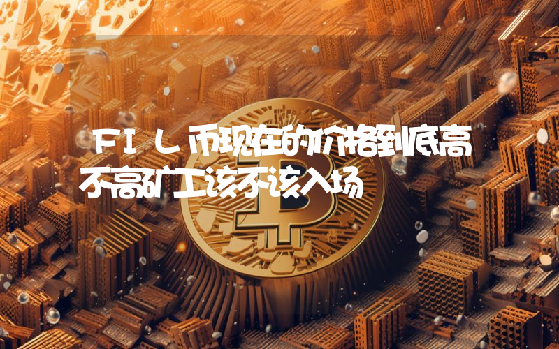 FIL币现在的价格到底高不高矿工该不该入场