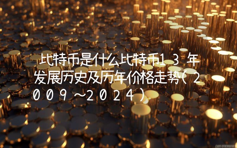 比特币是什么比特币13年发展历史及历年价格走势(2009～2024)