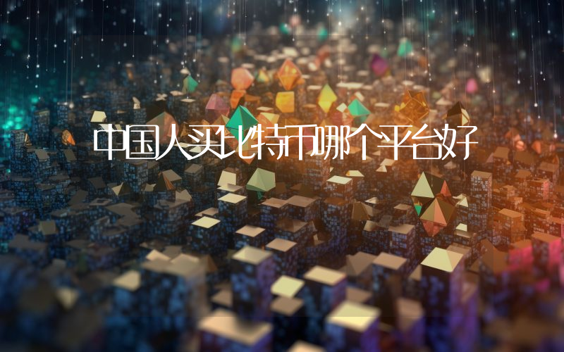 中国人买比特币哪个平台好