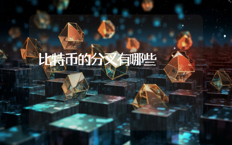 比特币的分叉有哪些
