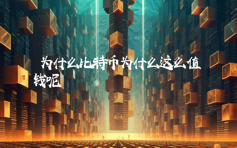为什么比特币为什么这么值钱呢