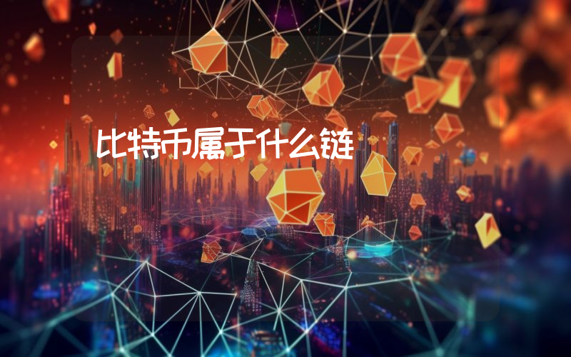 比特币属于什么链