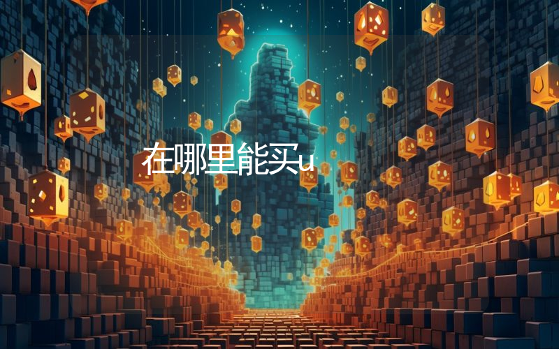 在哪里能买u