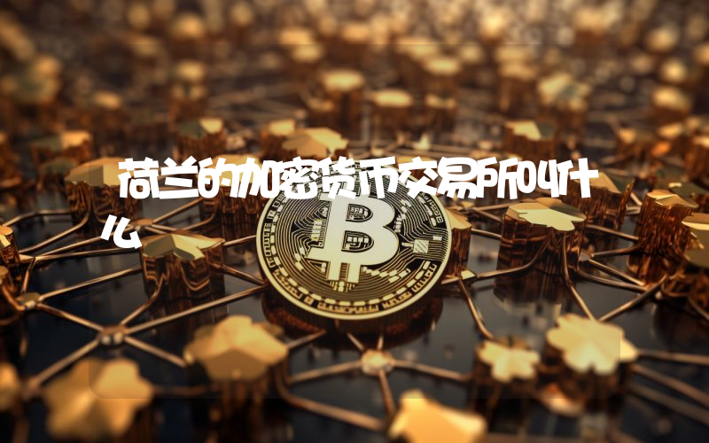 荷兰的加密货币交易所叫什么