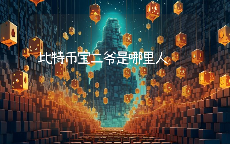 比特币宝二爷是哪里人