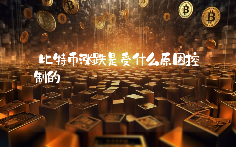 比特币涨跌是受什么原因控制的