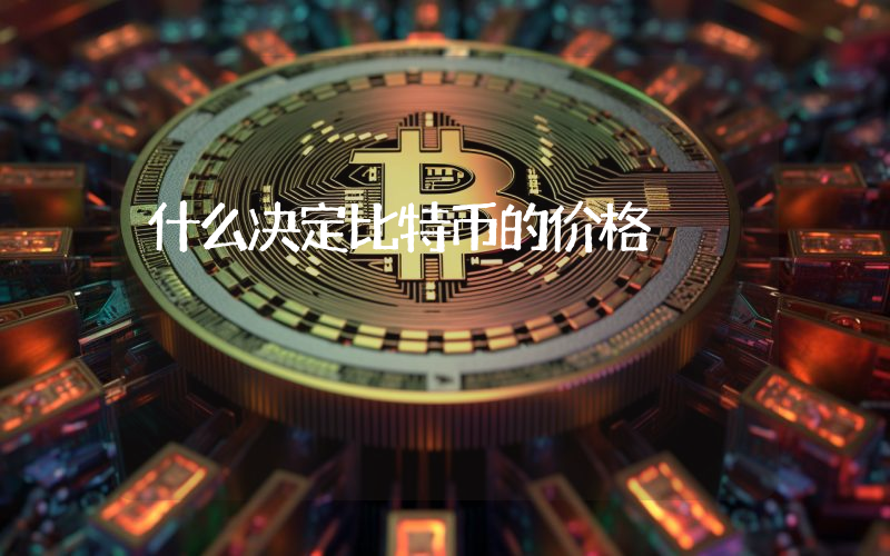 什么决定比特币的价格