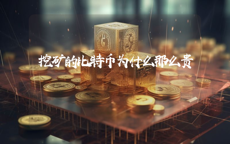 挖矿的比特币为什么那么贵
