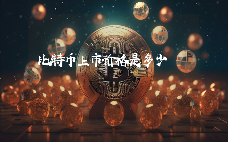 比特币上市价格是多少