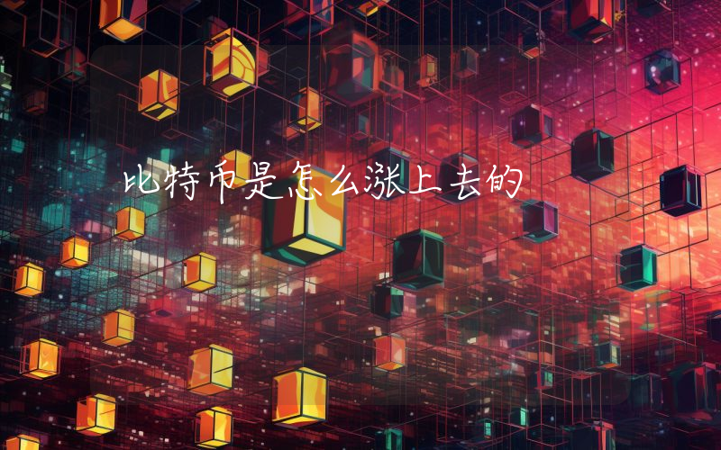 比特币是怎么涨上去的