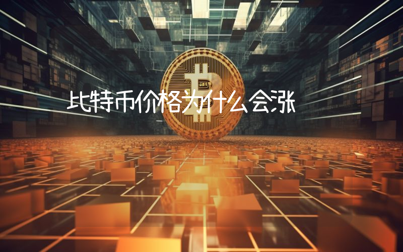 比特币价格为什么会涨