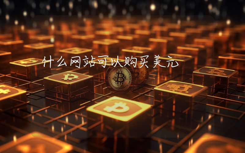什么网站可以购买美元