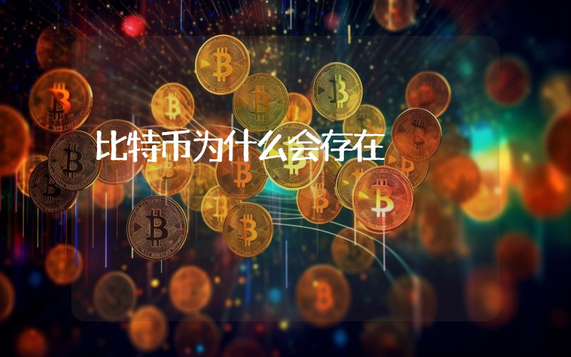 比特币为什么会存在