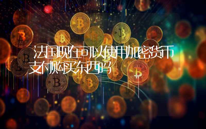 法国现在可以使用加密货币支付购买东西吗