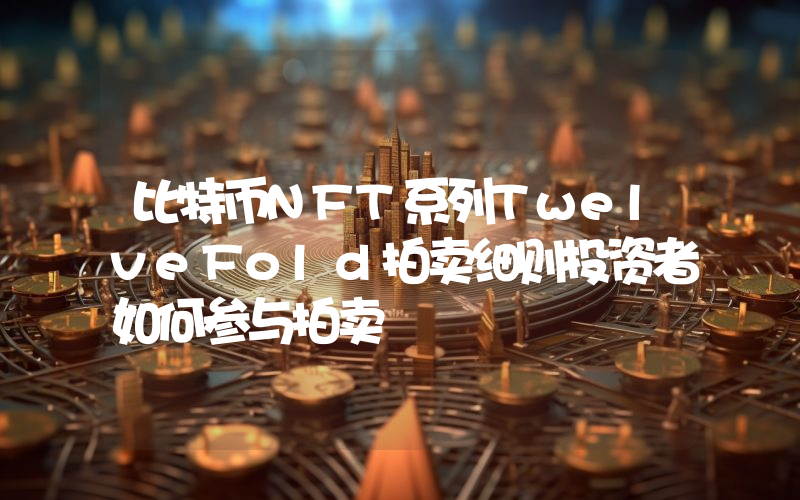 比特币NFT系列TwelveFold拍卖细则投资者如何参与拍卖