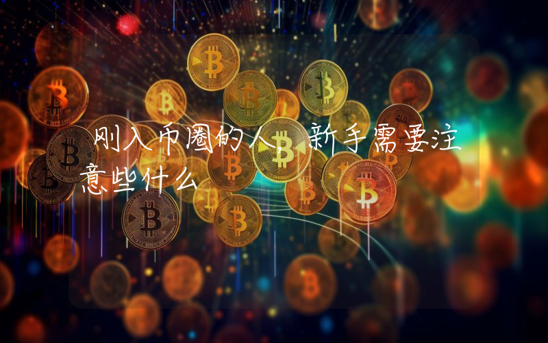 刚入币圈的人，新手需要注意些什么
