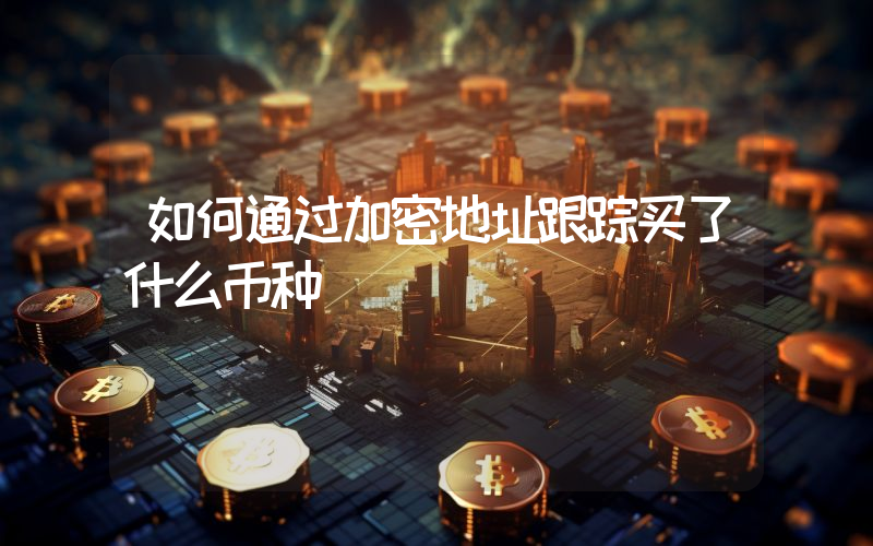 如何通过加密地址跟踪买了什么币种