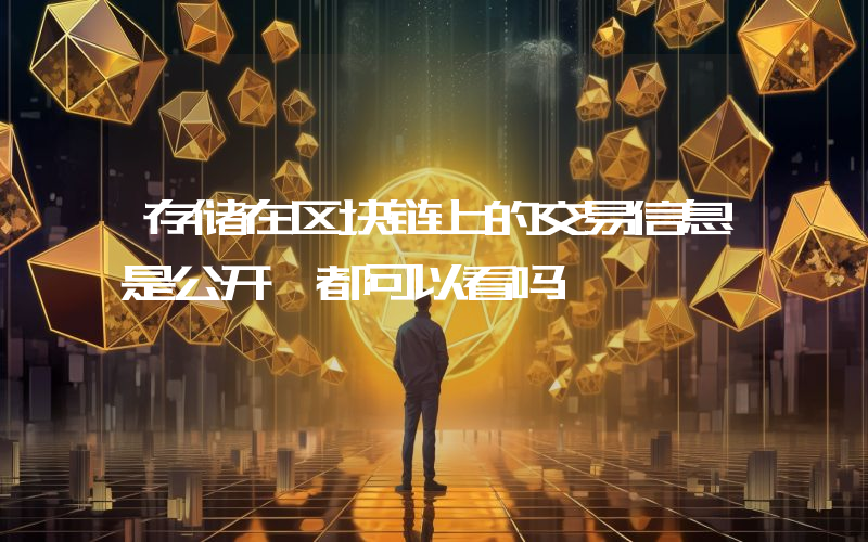 存储在区块链上的交易信息是公开,都可以看吗