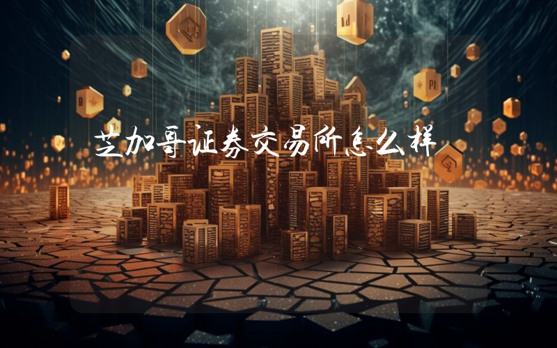 芝加哥证券交易所怎么样
