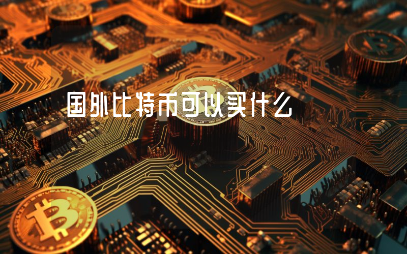 国外比特币可以买什么