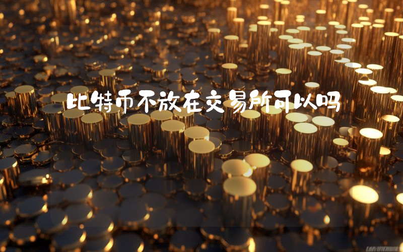 比特币不放在交易所可以吗