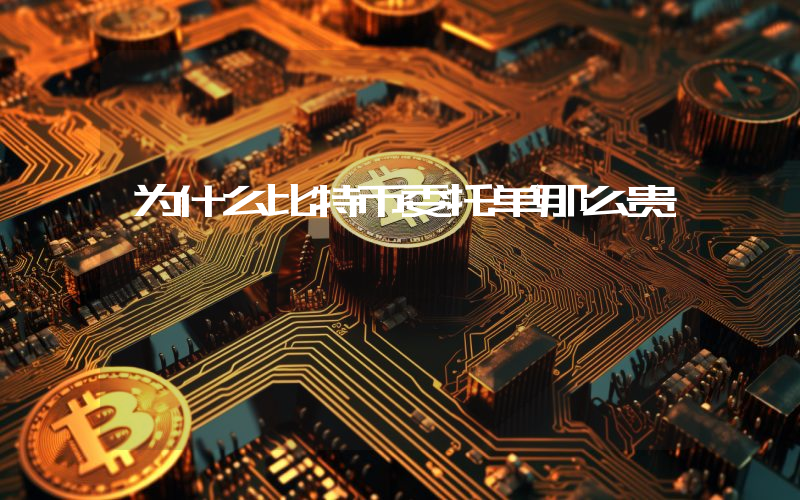 为什么比特币委托单那么贵