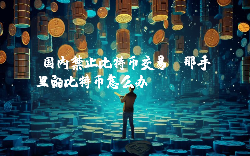 国内禁止比特币交易,那手里的比特币怎么办
