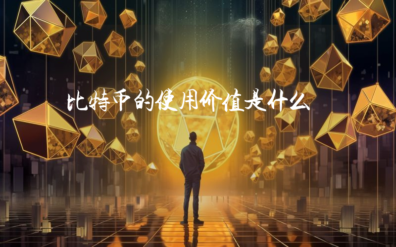 比特币的使用价值是什么