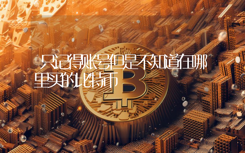 只记得账号但是不知道在哪里买的比特币