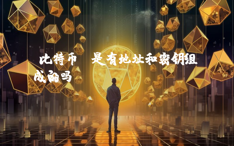 比特币 是有地址和密钥组成的吗
