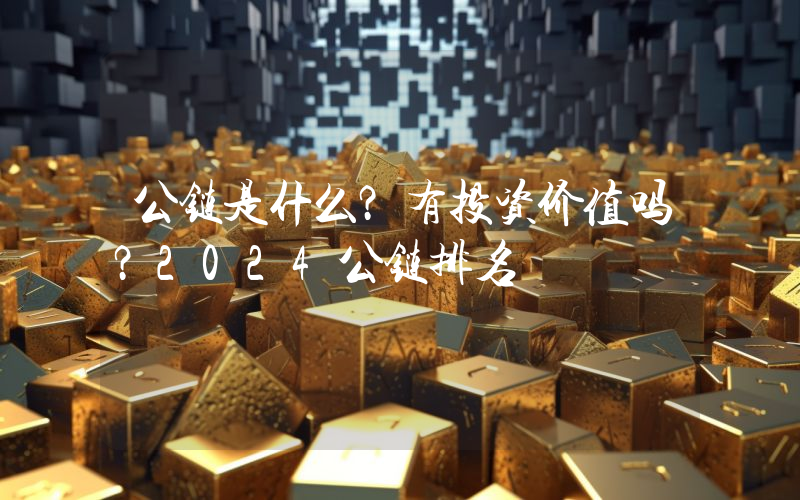 公链是什么？有投资价值吗？2024公链排名