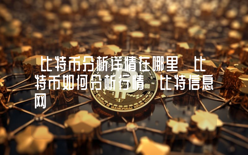 比特币分析详情在哪里 比特币如何分析行情 比特信息网