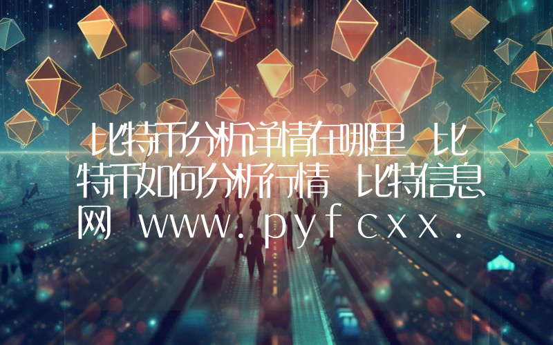 比特币分析详情在哪里 比特币如何分析行情 比特信息网 www.pyfcxx.com