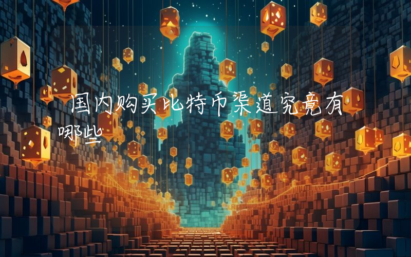 国内购买比特币渠道究竟有哪些