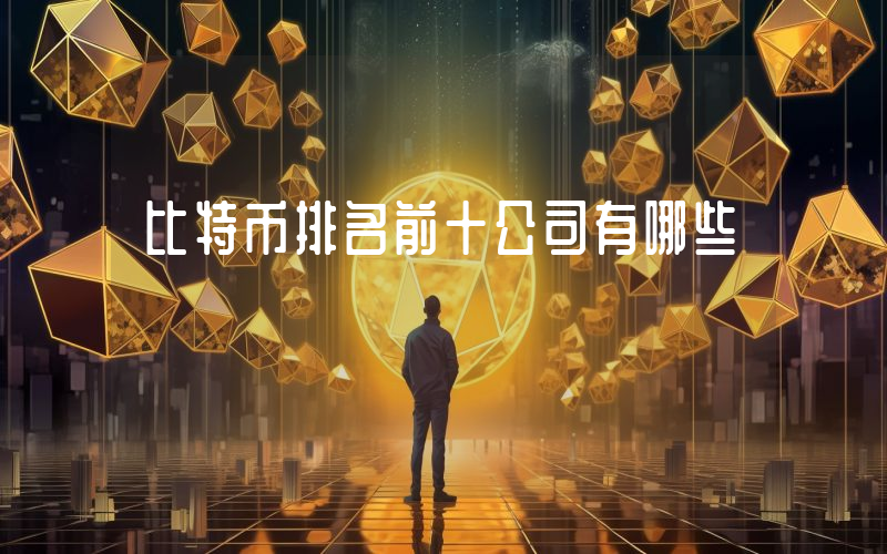 比特币排名前十公司有哪些