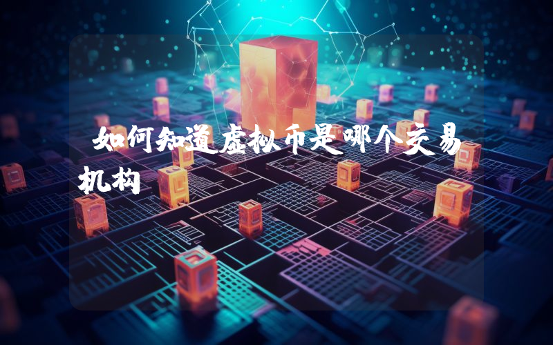 如何知道虚拟币是哪个交易机构