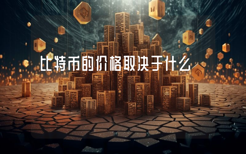 比特币的价格取决于什么