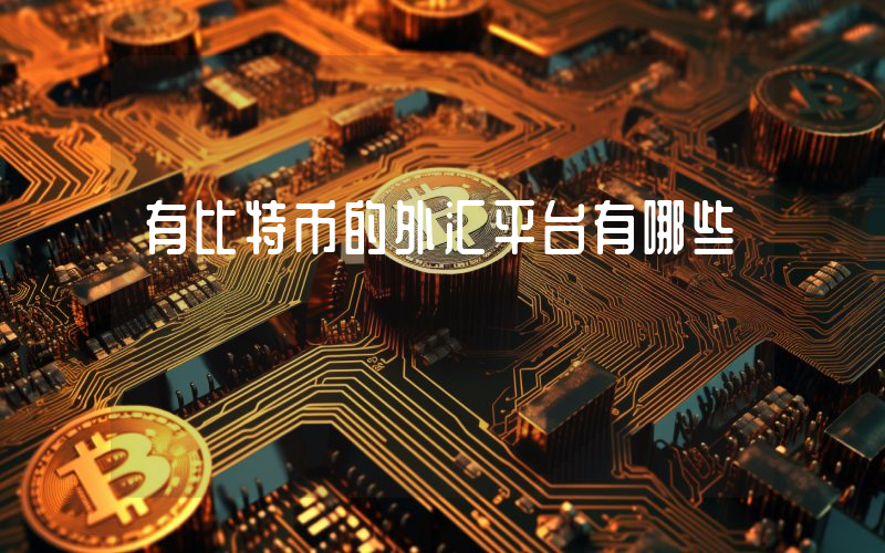 有比特币的外汇平台有哪些