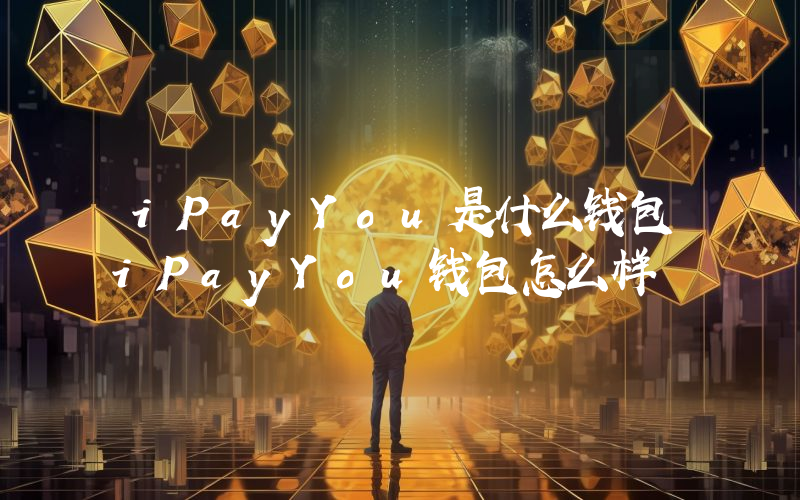 iPayYou是什么钱包iPayYou钱包怎么样