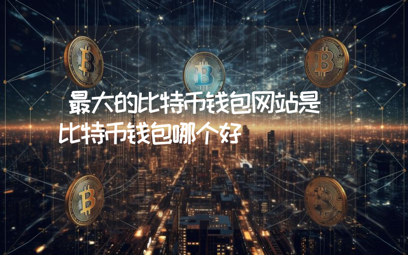 最大的比特币钱包网站是 比特币钱包哪个好