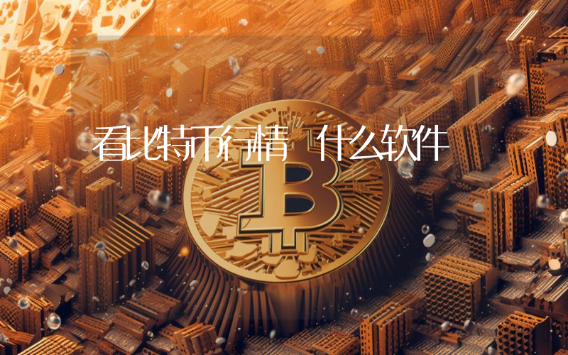 看比特币行情 什么软件