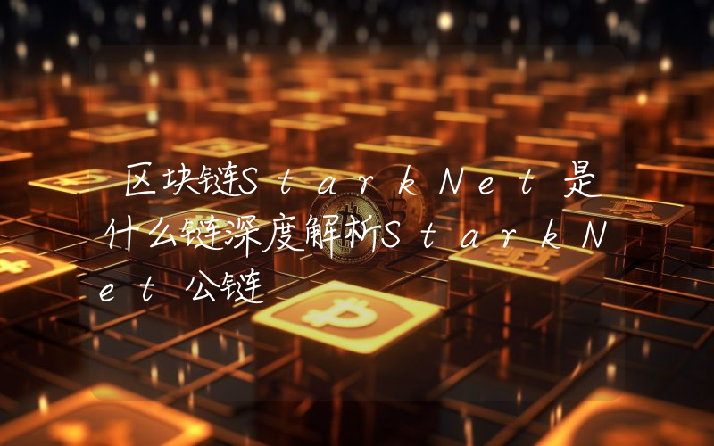 区块链StarkNet是什么链深度解析StarkNet公链