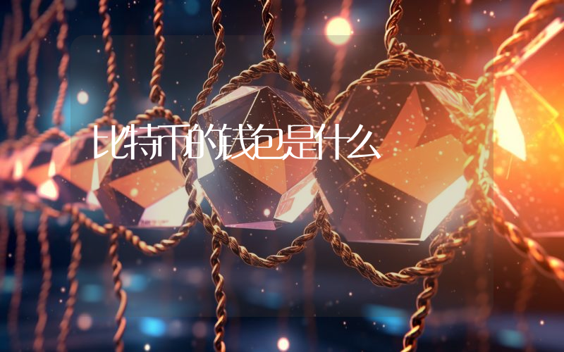 比特币的钱包是什么
