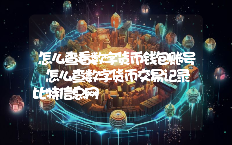 怎么查看数字货币钱包账号 怎么查数字货币交易记录 比特信息网