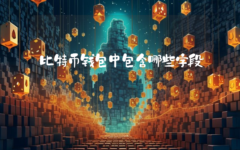 比特币钱包中包含哪些字段
