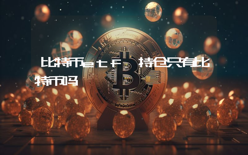 比特币etf 持仓只有比特币吗